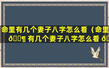 命里有几个妻子八字怎么看（命里 🐶 有几个妻子八字怎么看 🐼 出来）